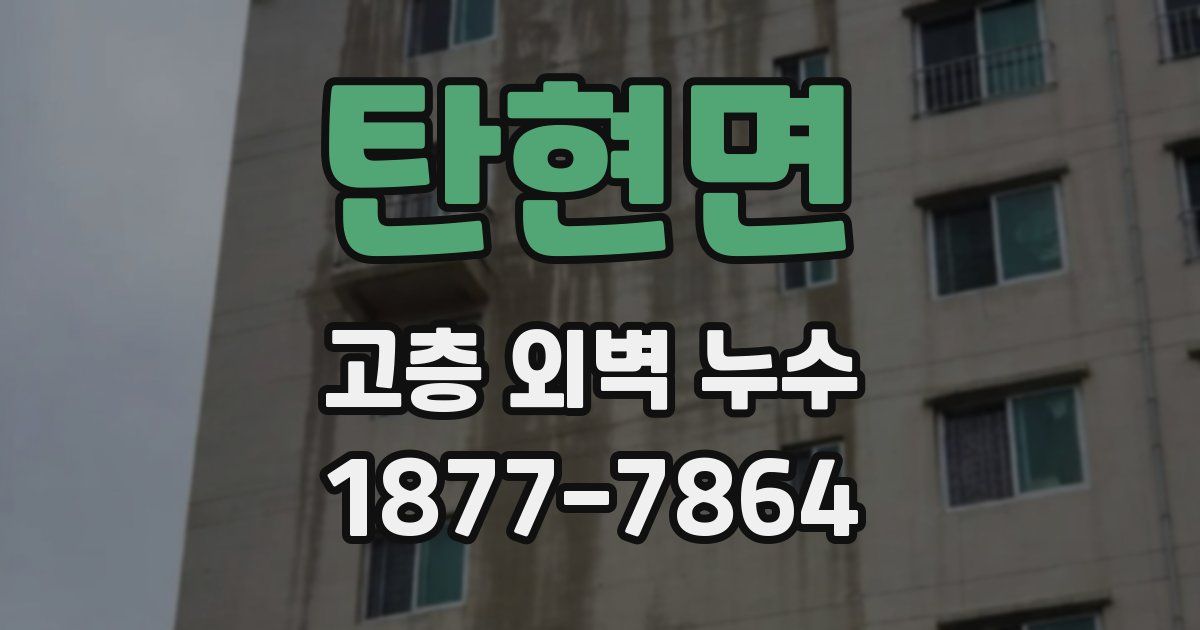 탄현면 고층 외벽 누수