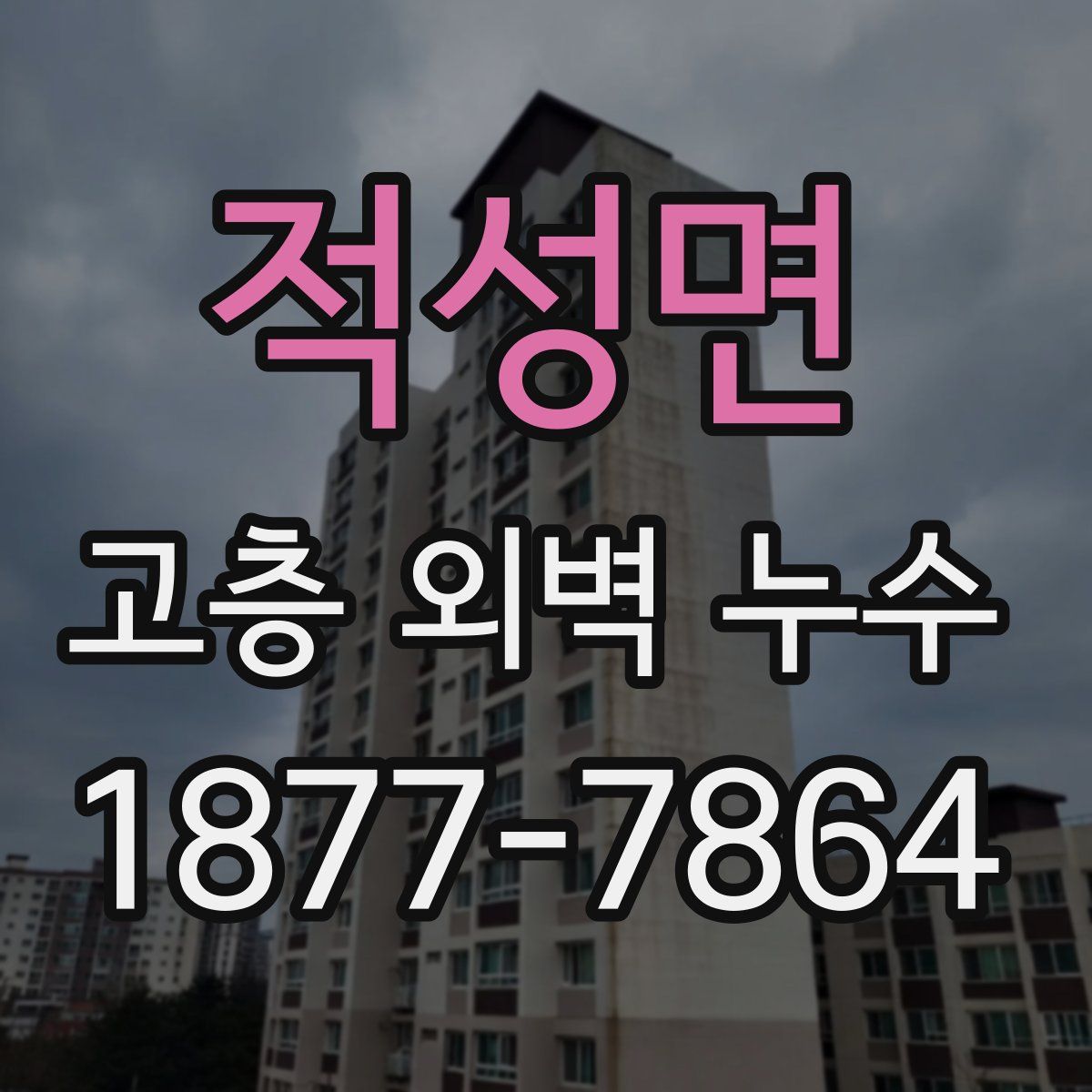 적성면 고층 외벽 누수