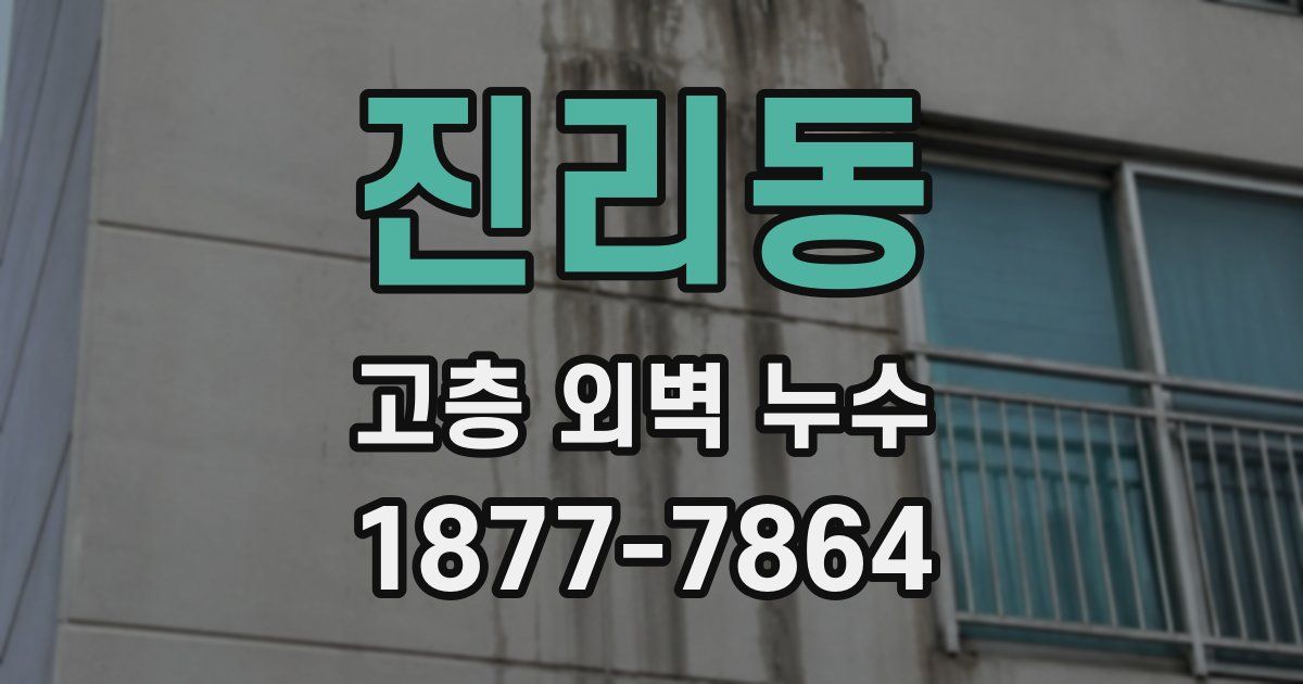 진리동 고층 외벽 누수
