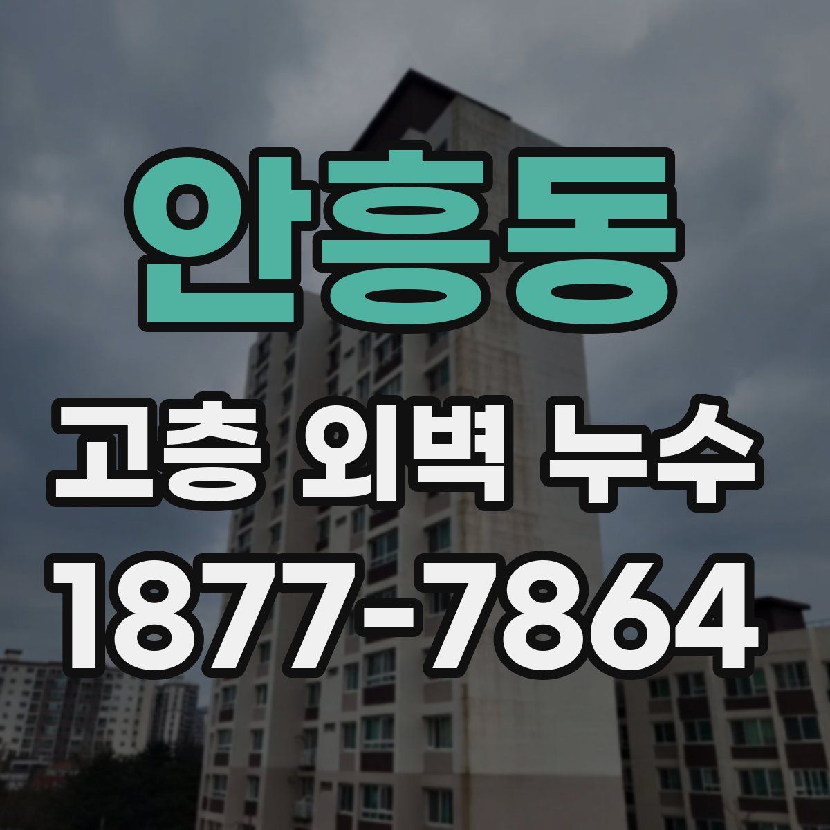 안흥동 고층 외벽 누수