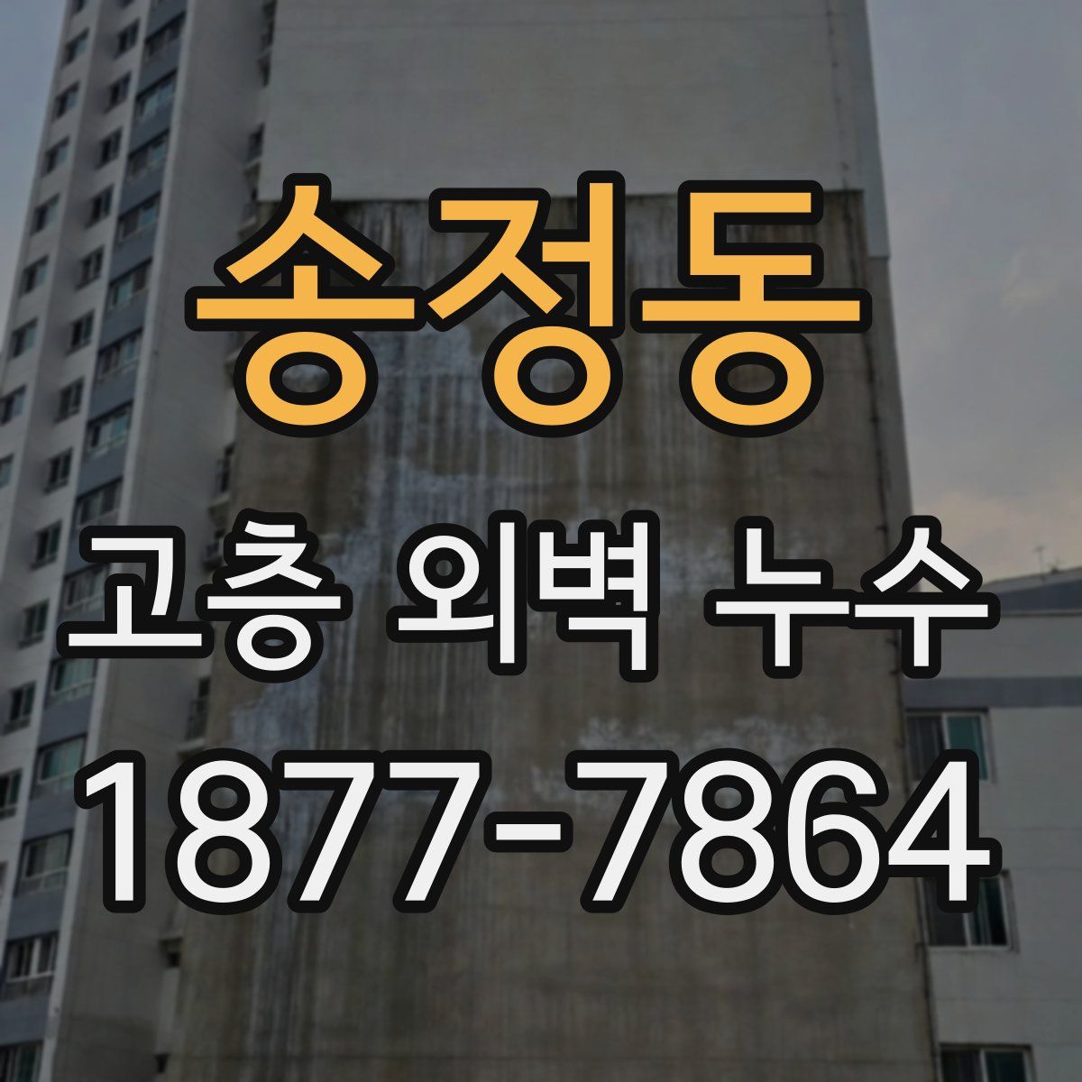 송정동 고층 외벽 누수