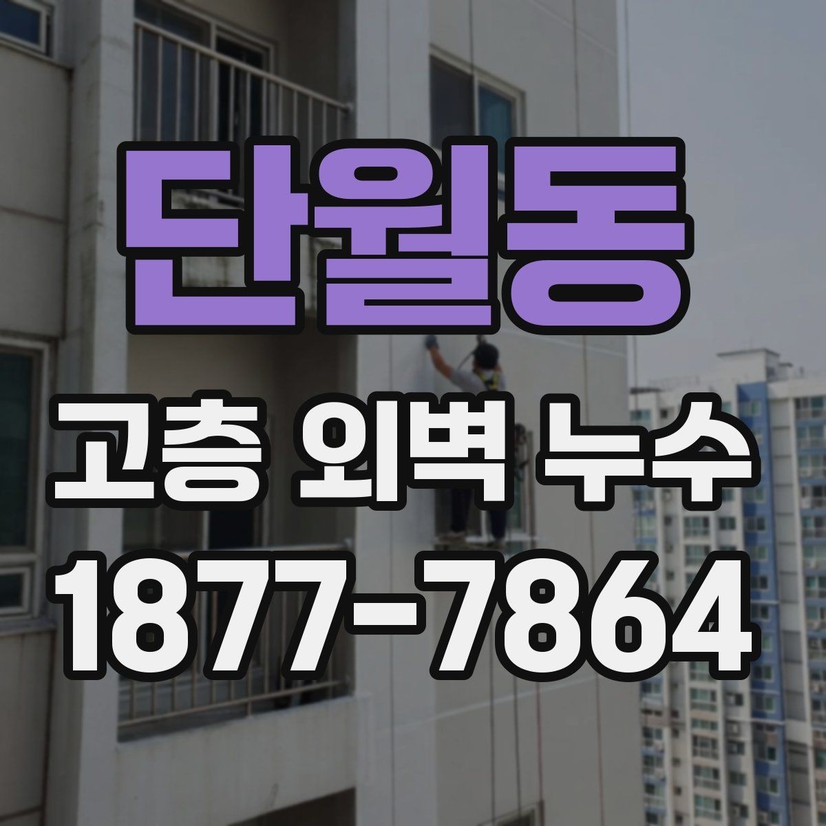 단월동 고층 외벽 누수 의심 사례를 통해 보는 판단 기준