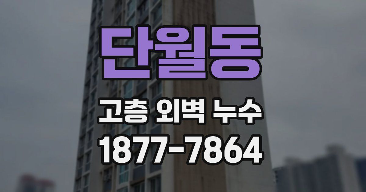 단월동 고층 외벽 누수