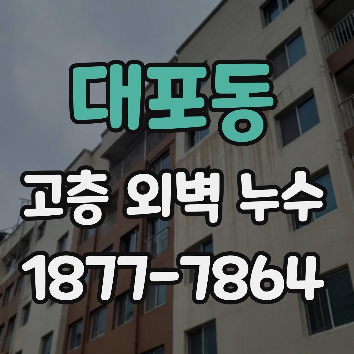 대포동 고층 외벽 누수