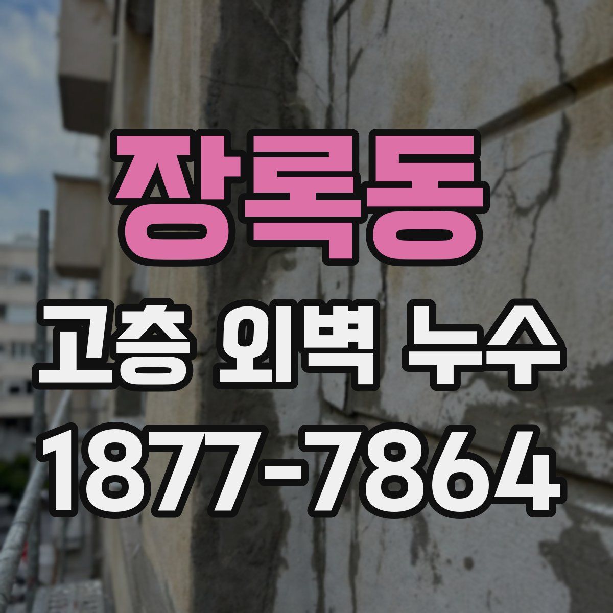 장록동 고층 외벽 누수