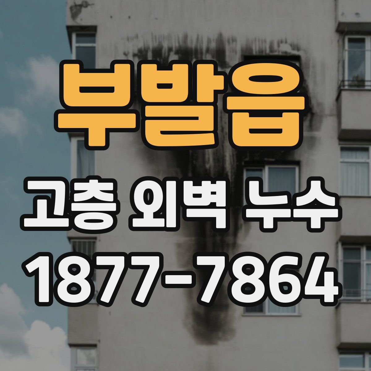 부발읍 고층 외벽 누수