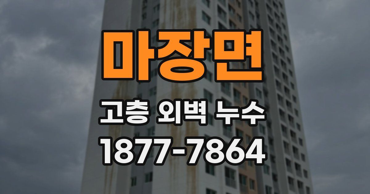 마장면 고층 외벽 누수