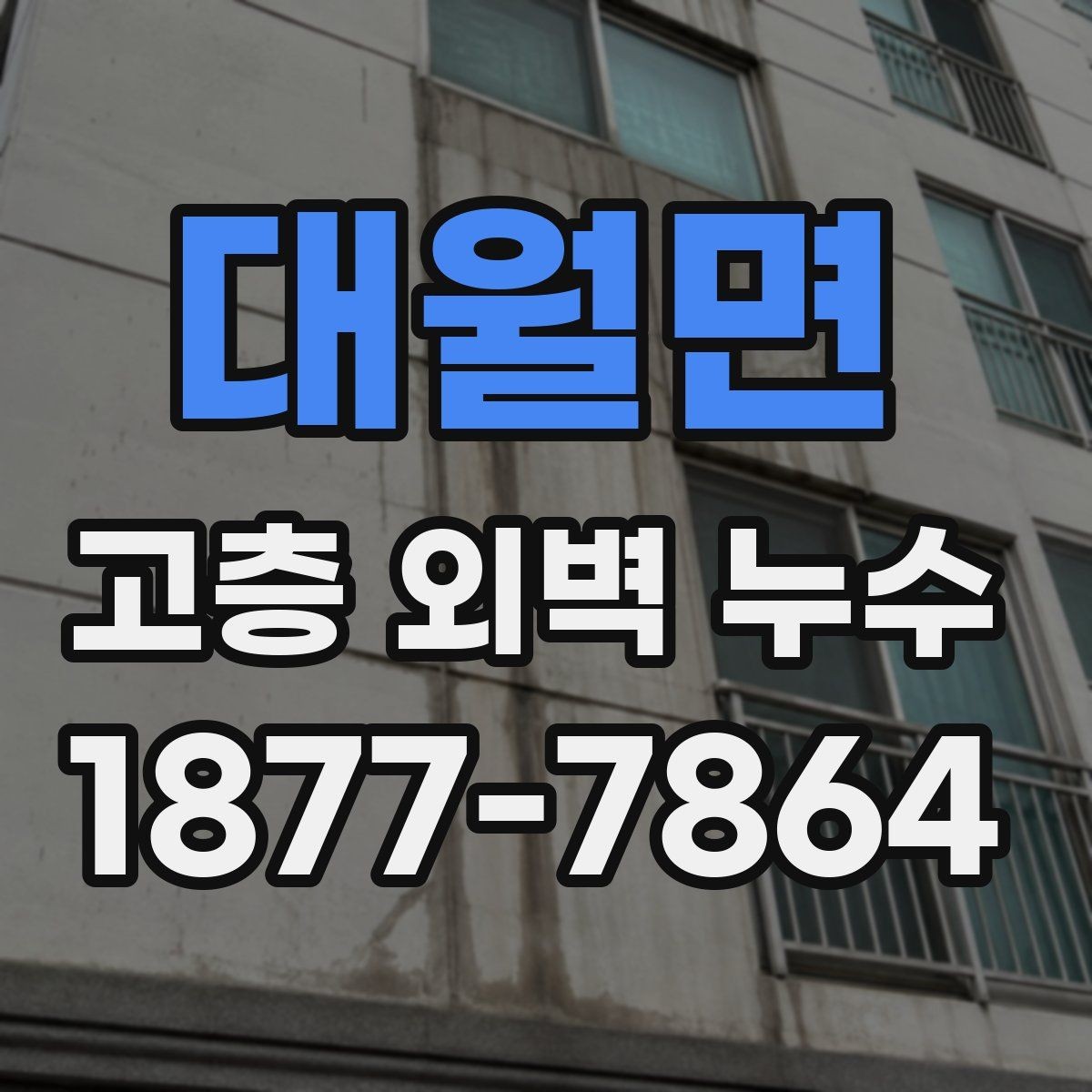 대월면 고층 외벽 누수 보수 공정별 확인 사항