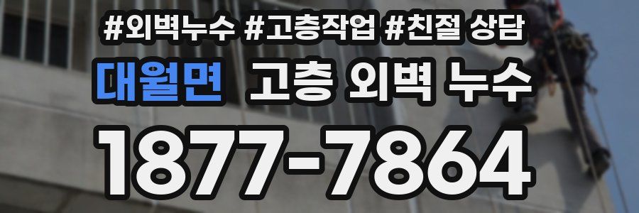 대월면 고층 외벽 누수
