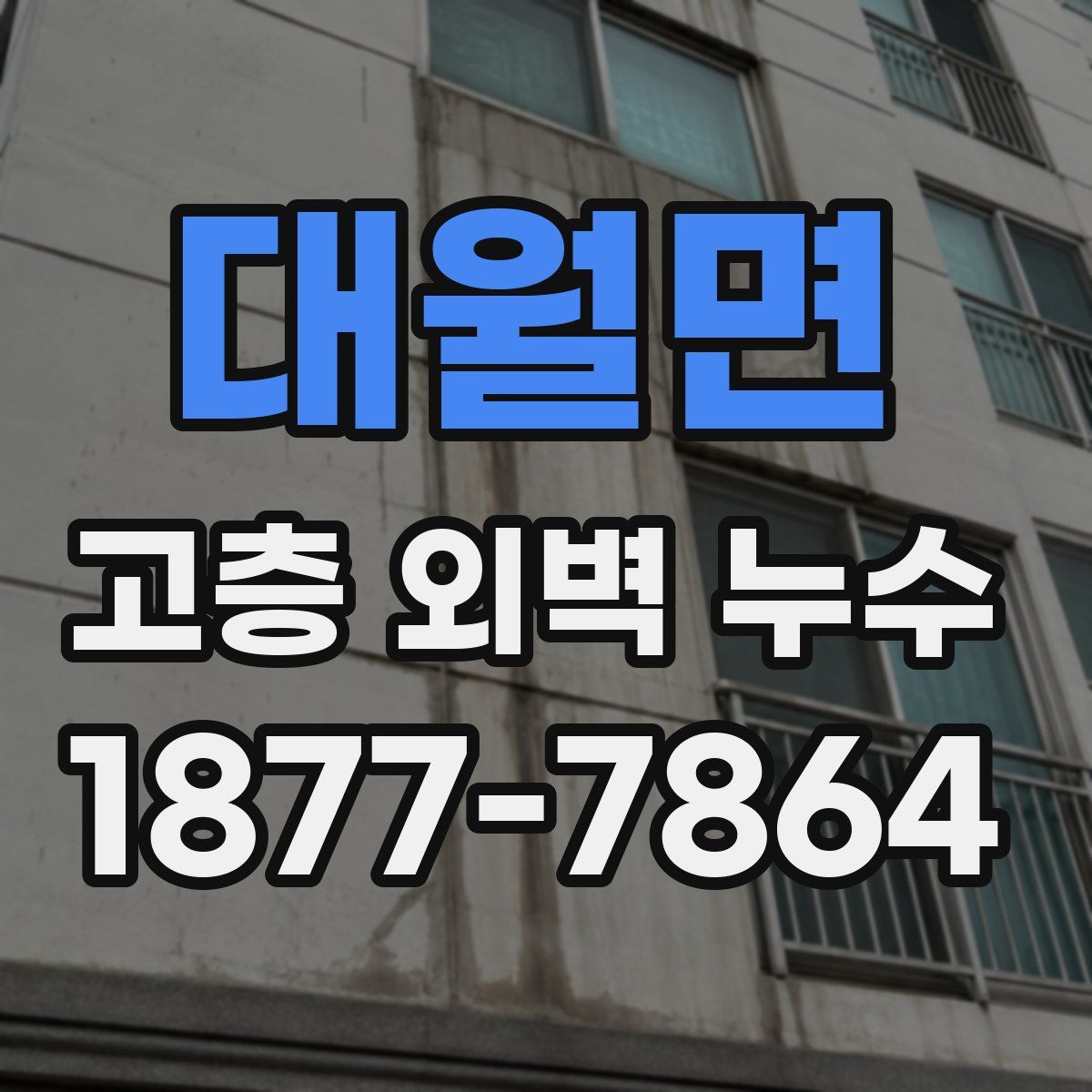 대월면 고층 외벽 누수