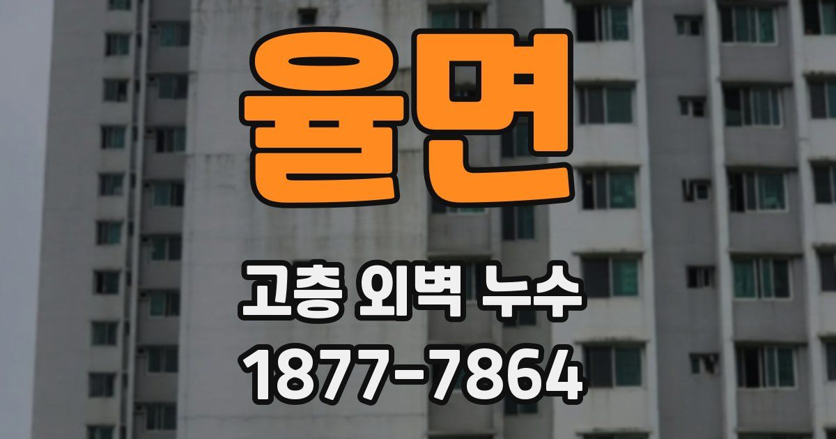 율면 고층 외벽 누수