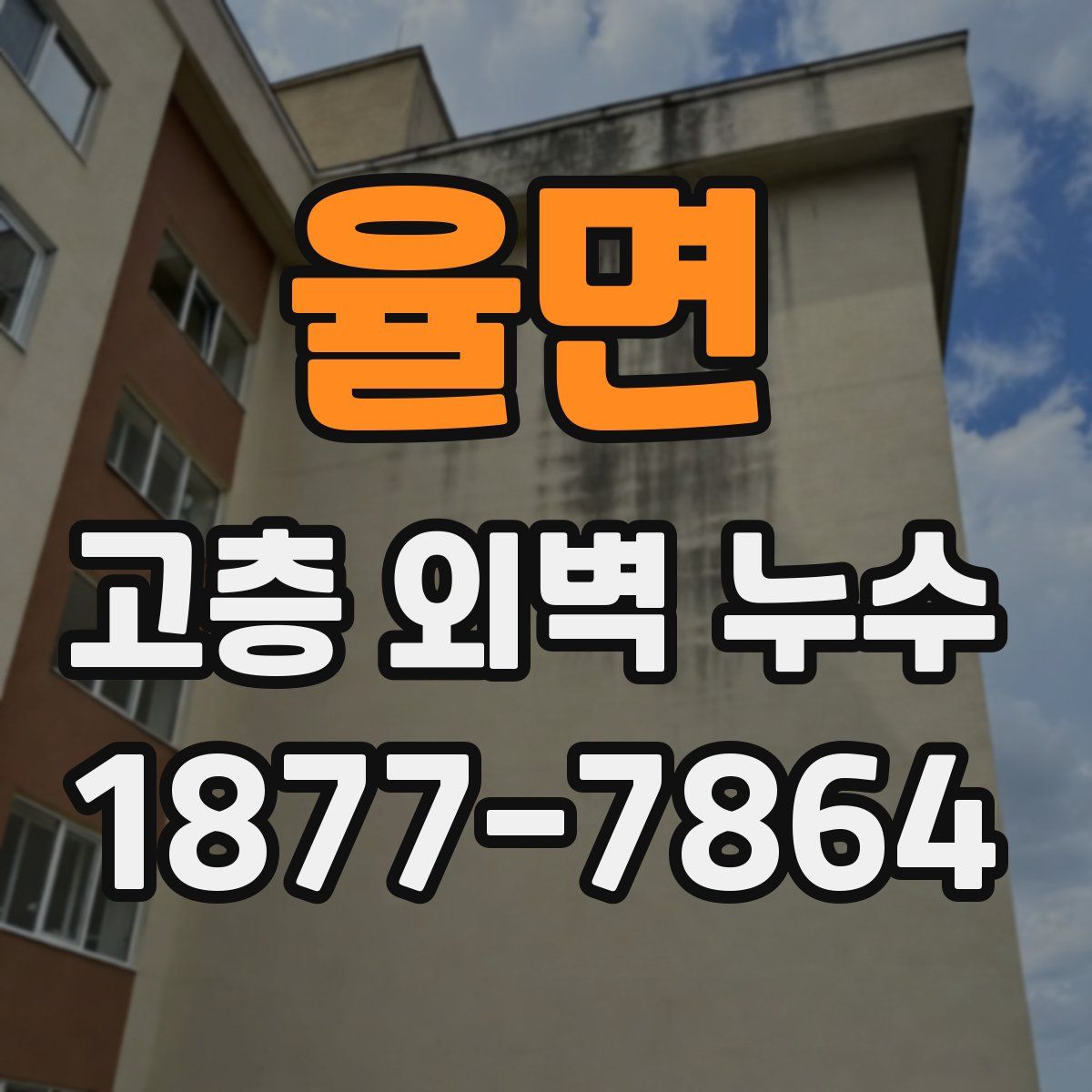 율면 고층 외벽 누수