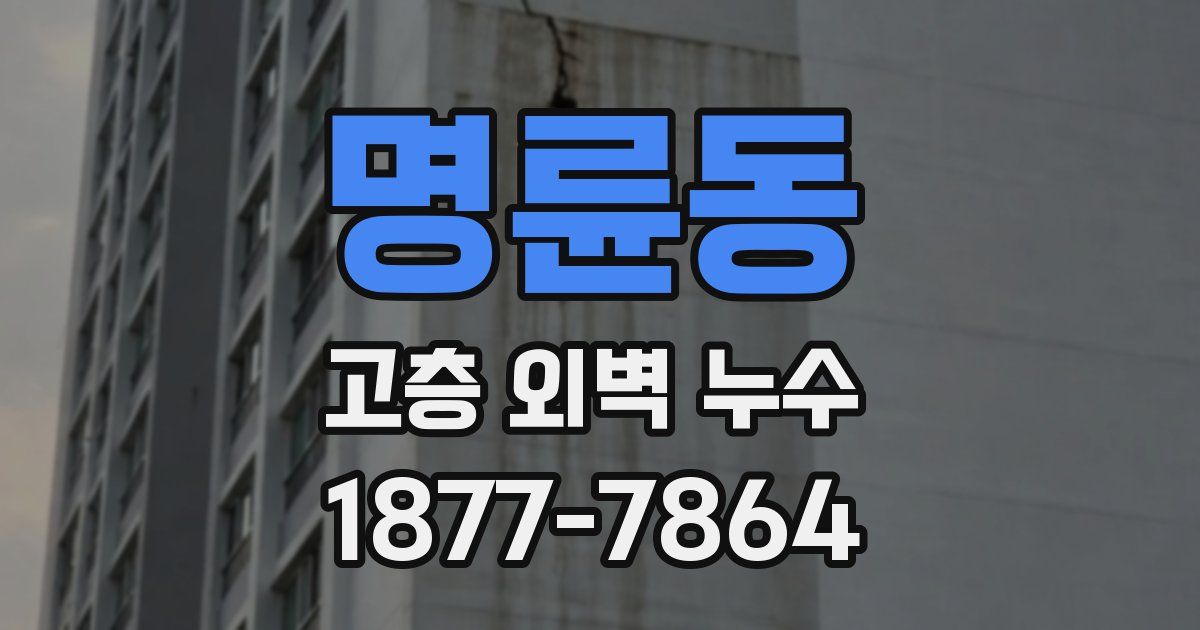 명륜동 고층 외벽 누수