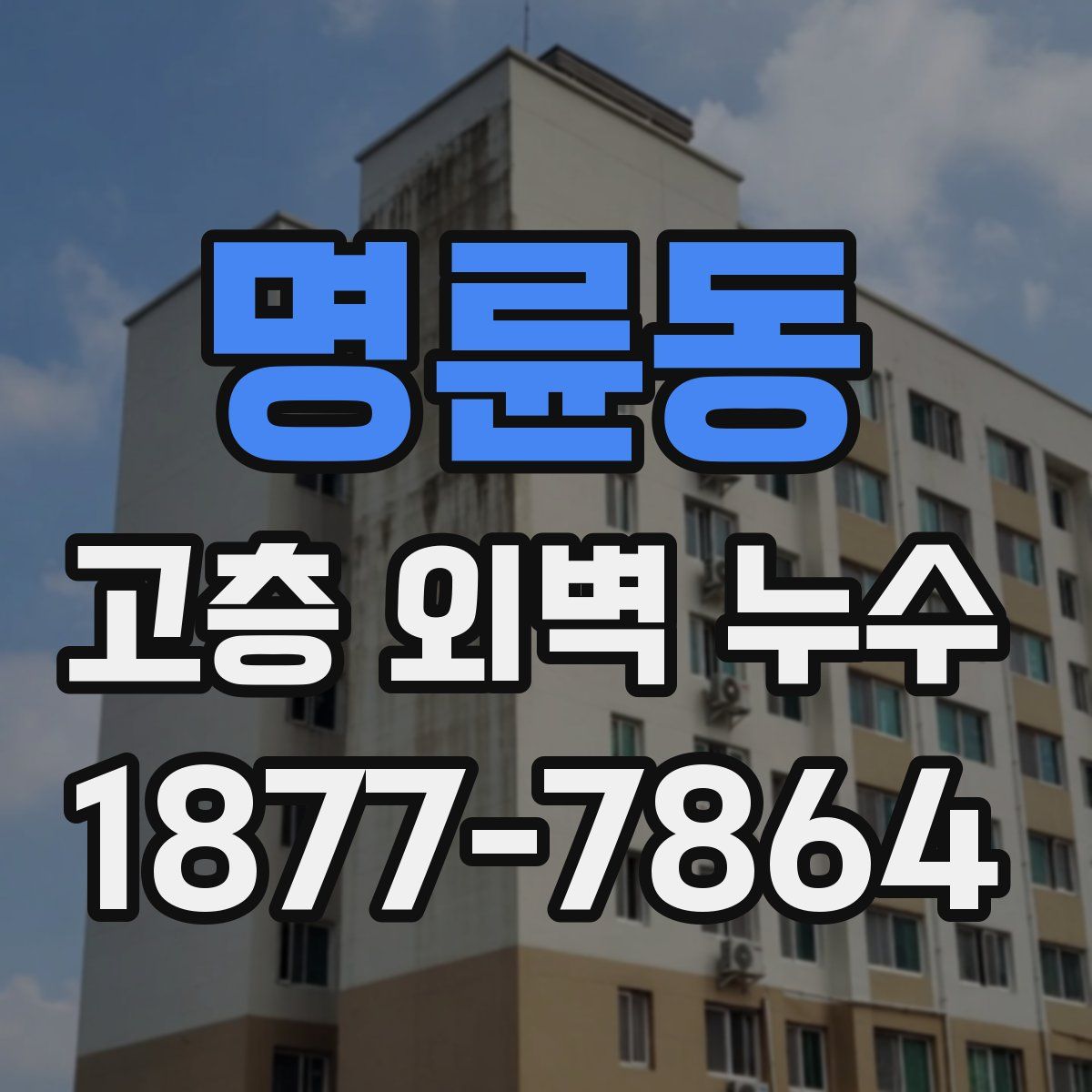명륜동 고층 외벽 누수