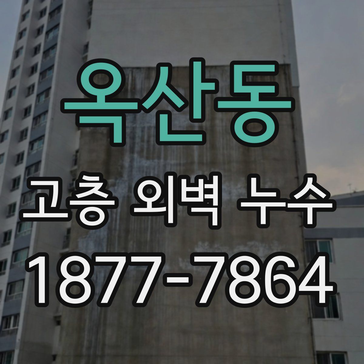 옥산동 고층 외벽 누수