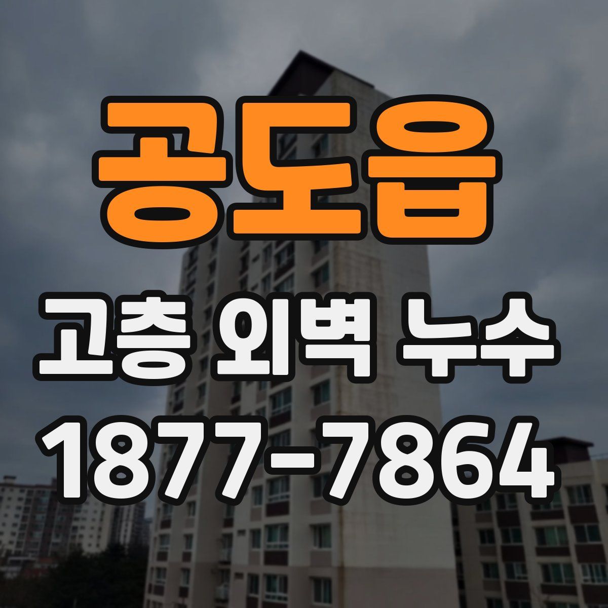 공도읍 고층 외벽 누수