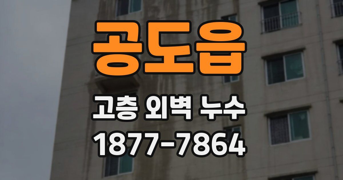 공도읍 고층 외벽 누수