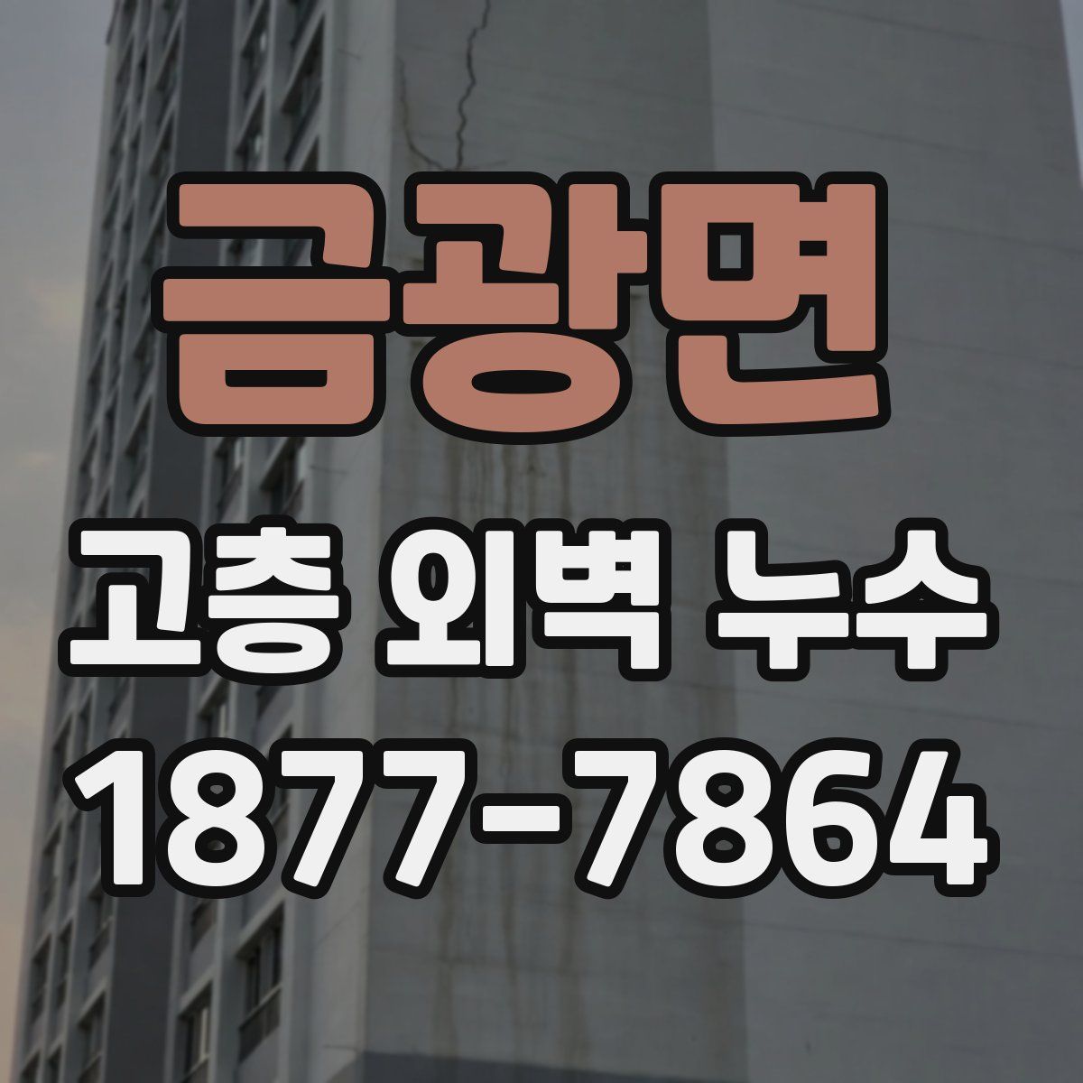금광면 고층 외벽 누수