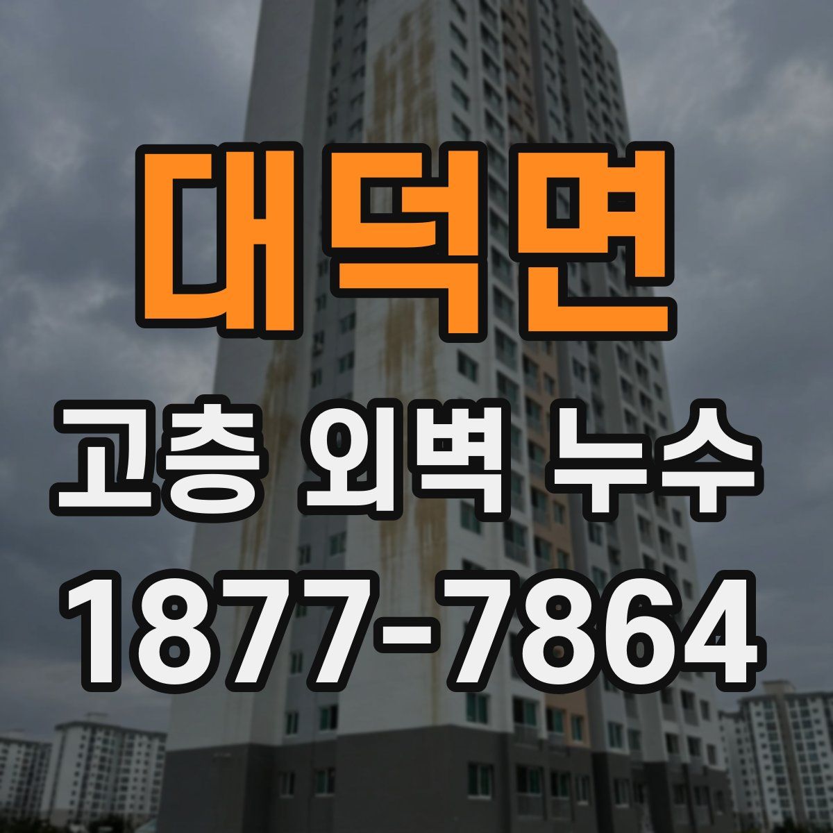 대덕면 고층 외벽 누수