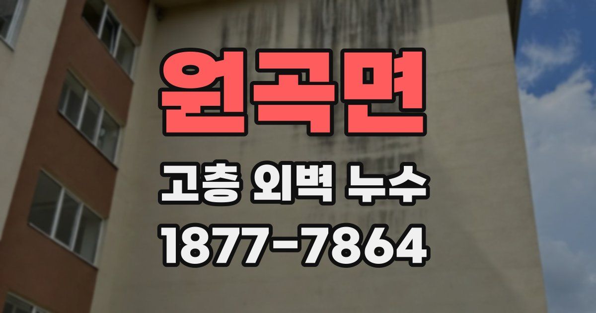 원곡면 고층 외벽 누수
