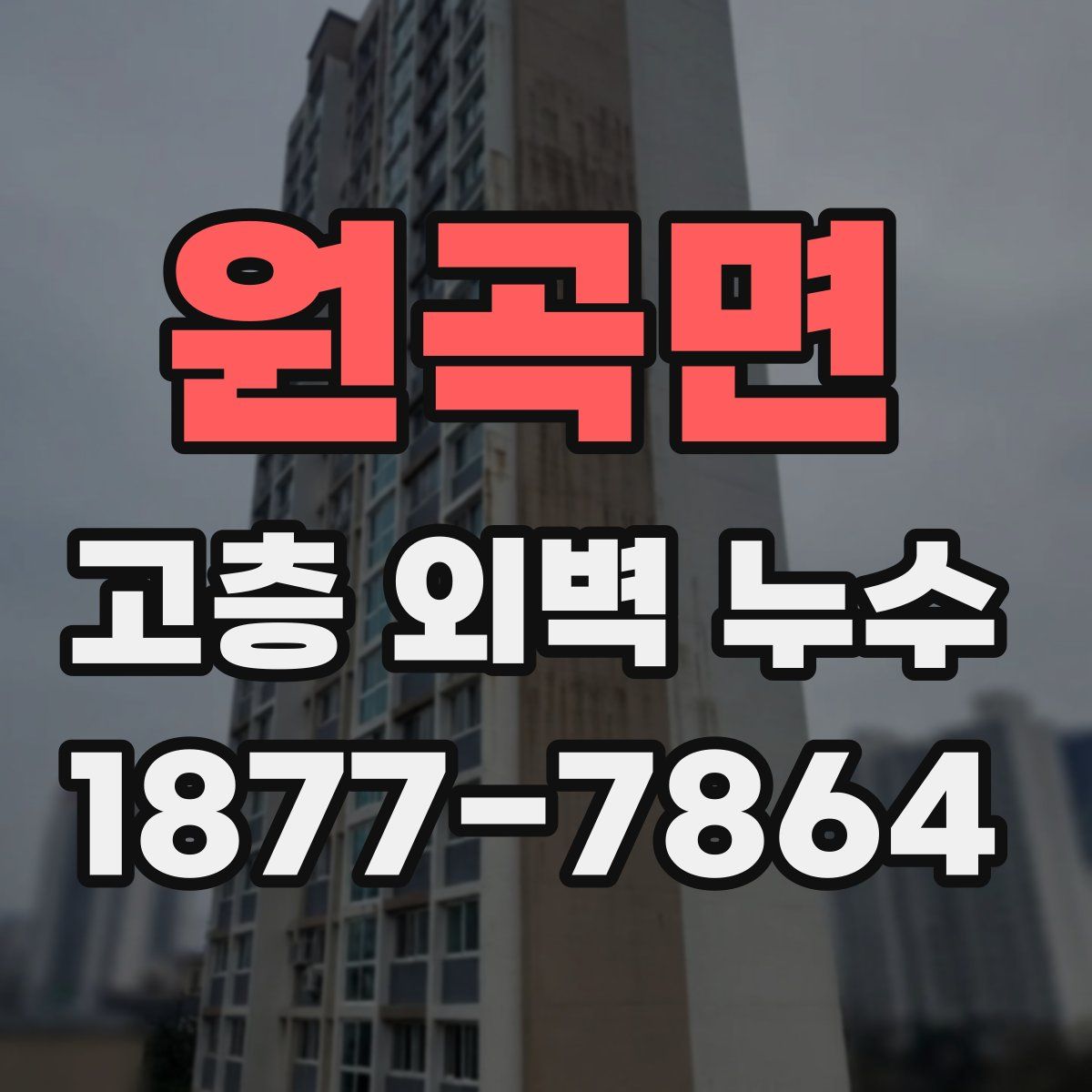 원곡면 고층 외벽 누수