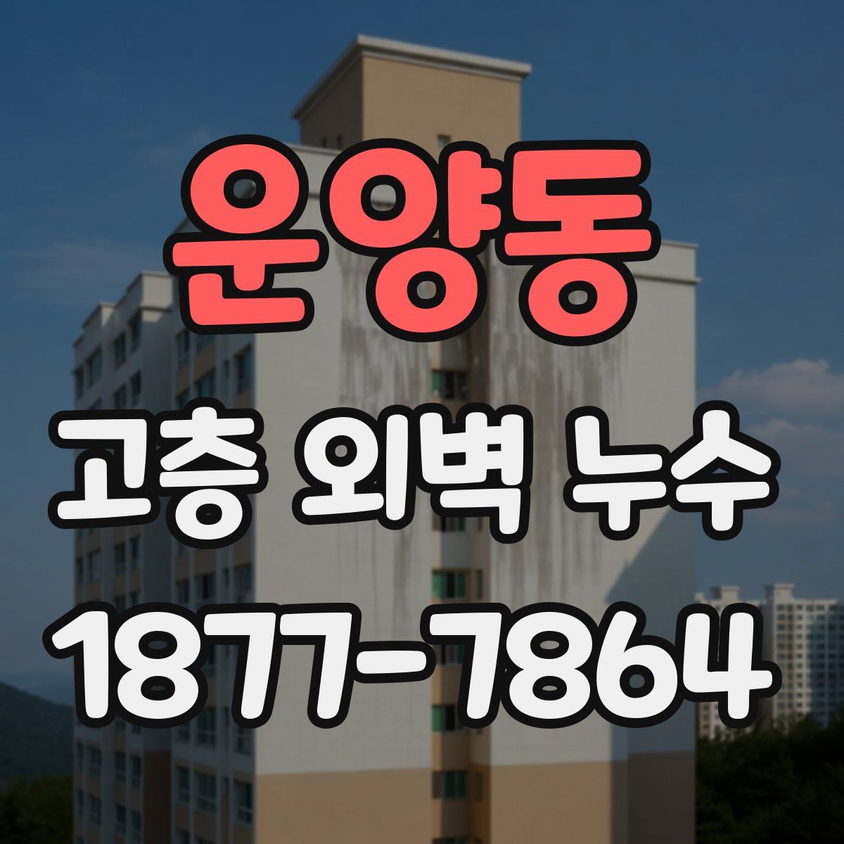 운양동 고층 외벽 누수