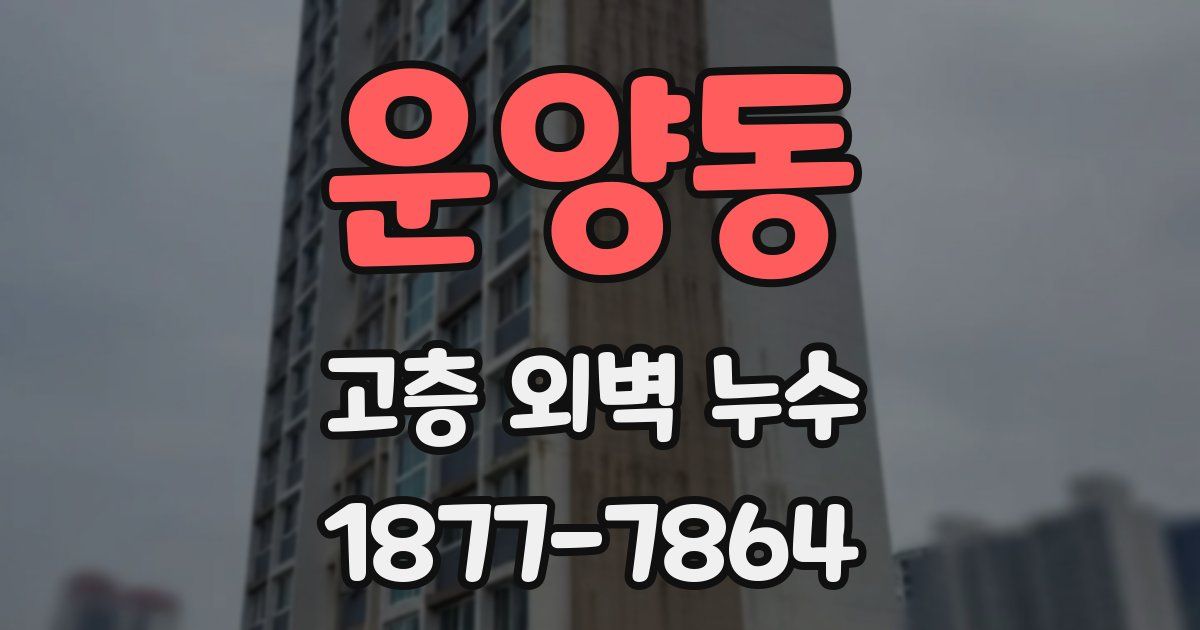 운양동 고층 외벽 누수