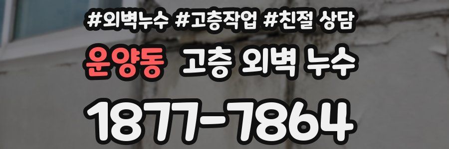 운양동 고층 외벽 누수