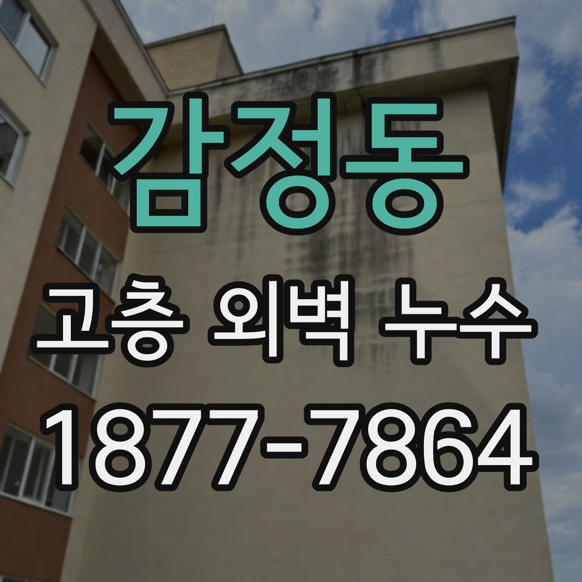 감정동 고층 외벽 누수