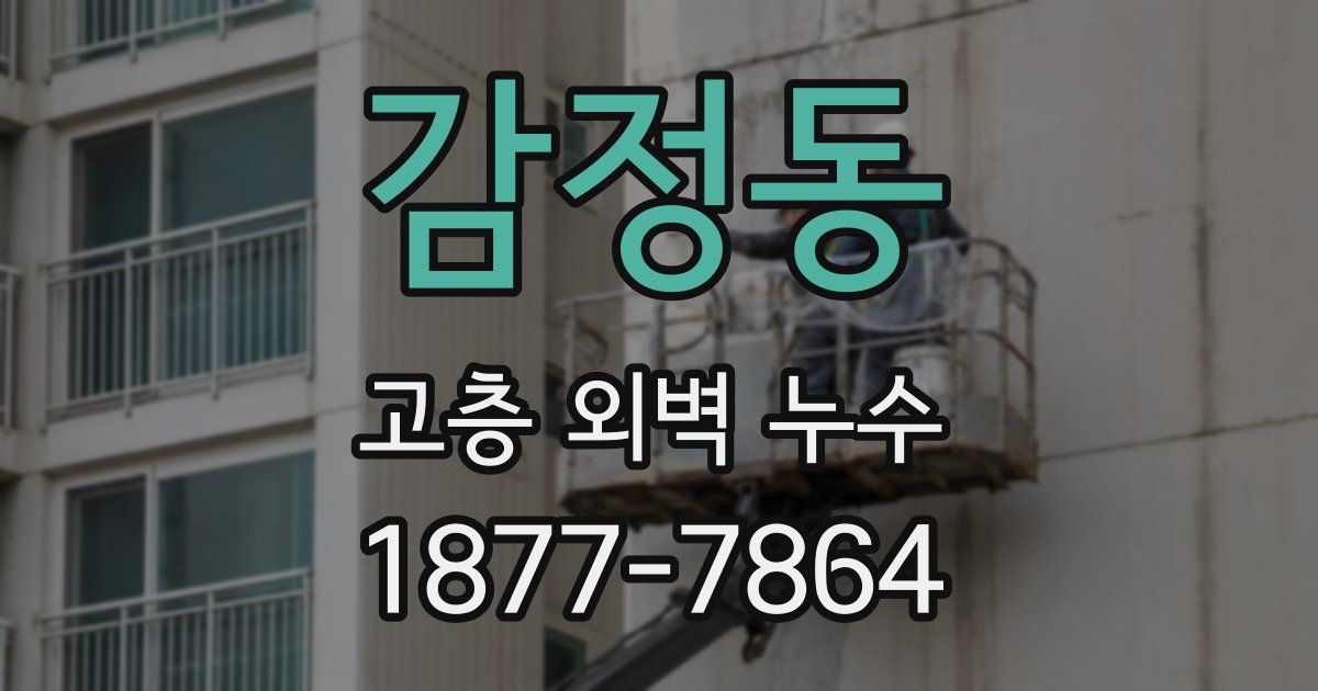 감정동 고층 외벽 누수