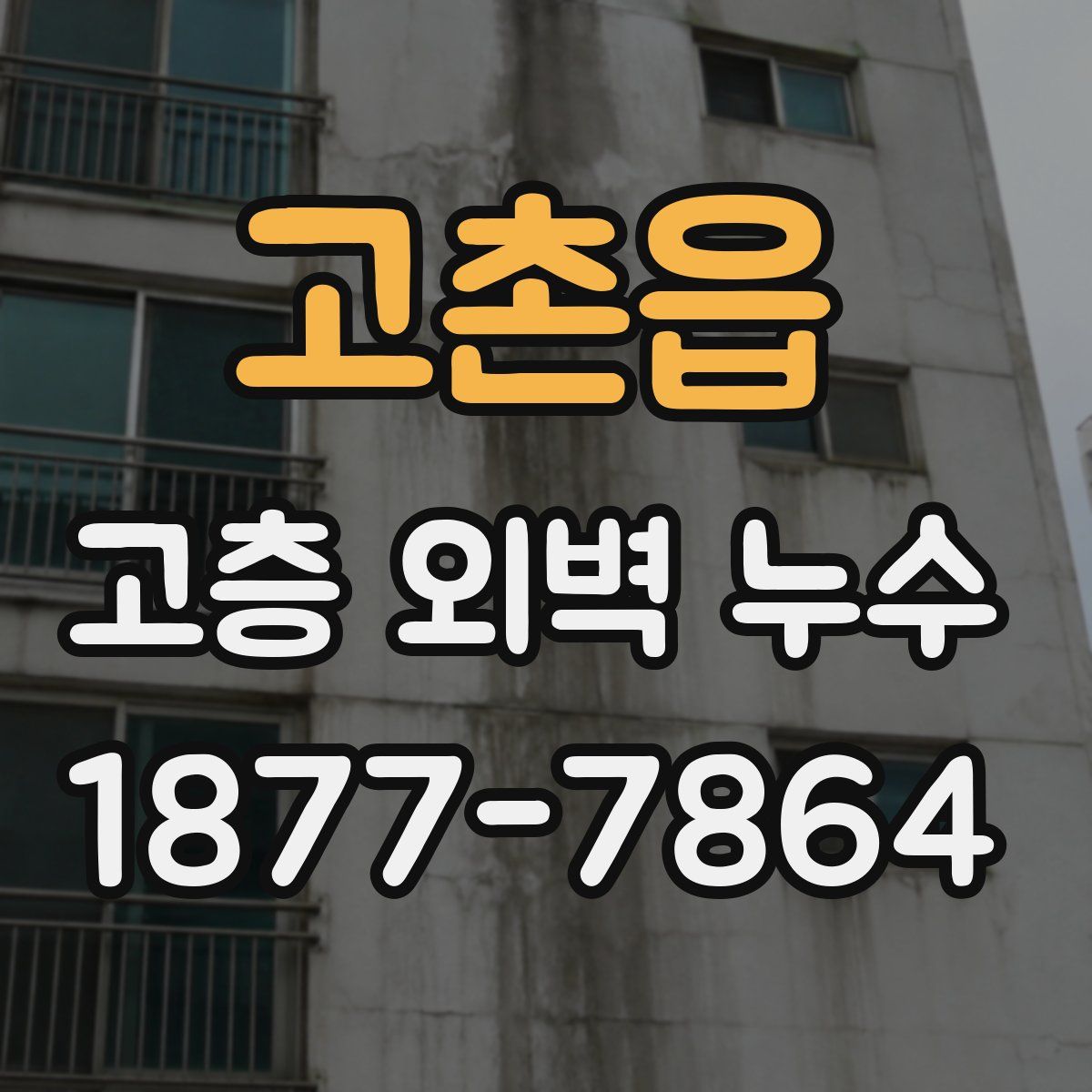 고촌읍 고층 외벽 누수