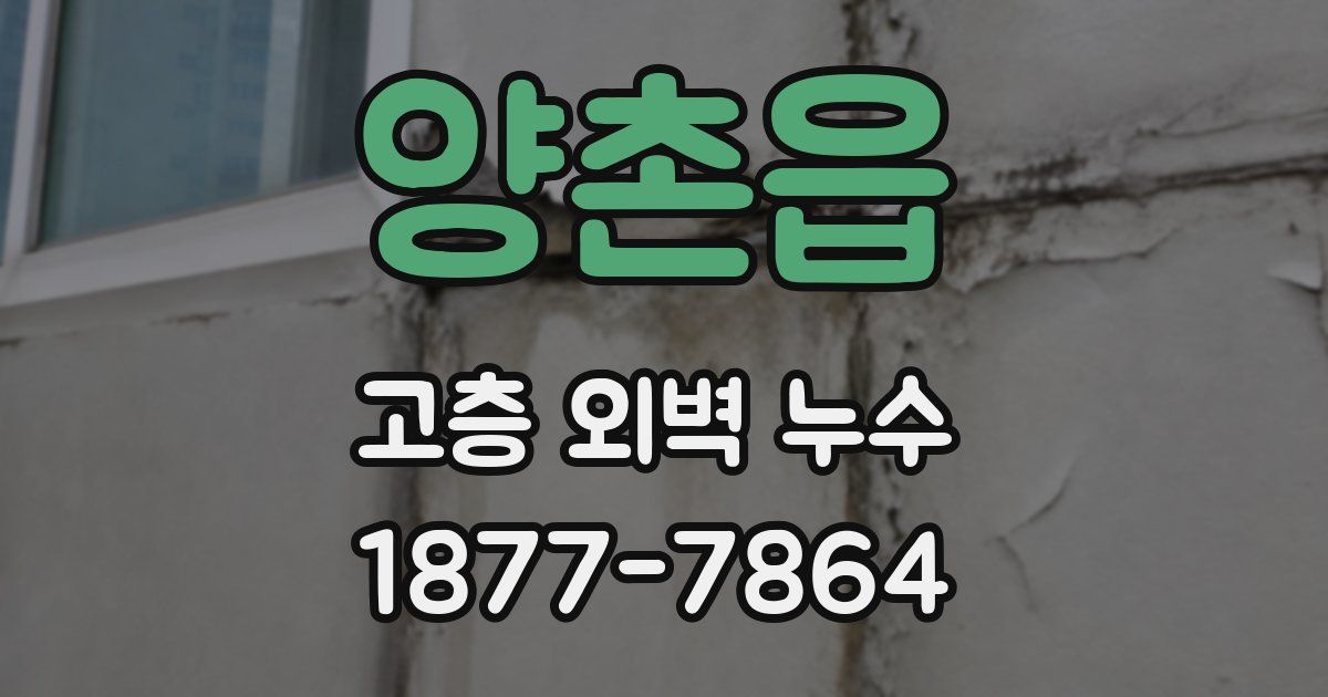 양촌읍 고층 외벽 누수