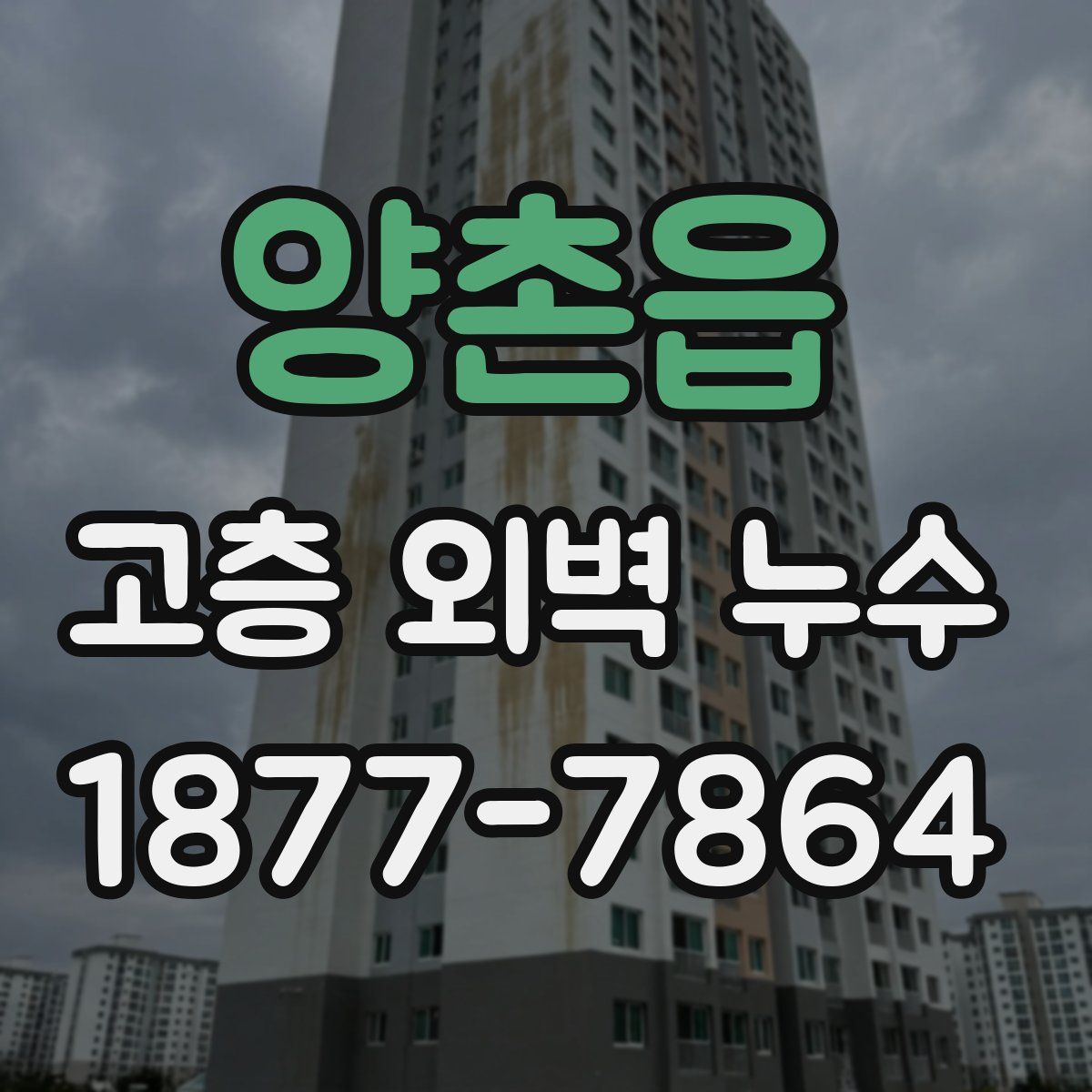양촌읍 고층 외벽 누수