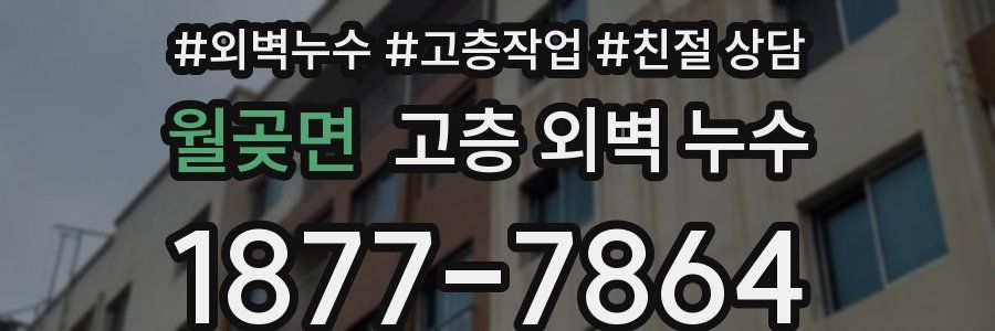 월곶면 고층 외벽 누수