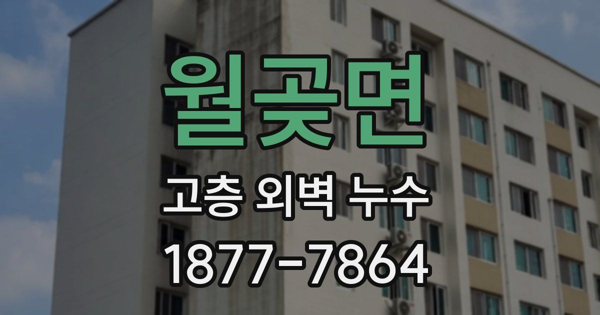 월곶면 고층 외벽 누수