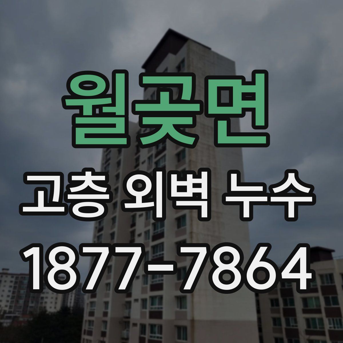 월곶면 고층 외벽 누수