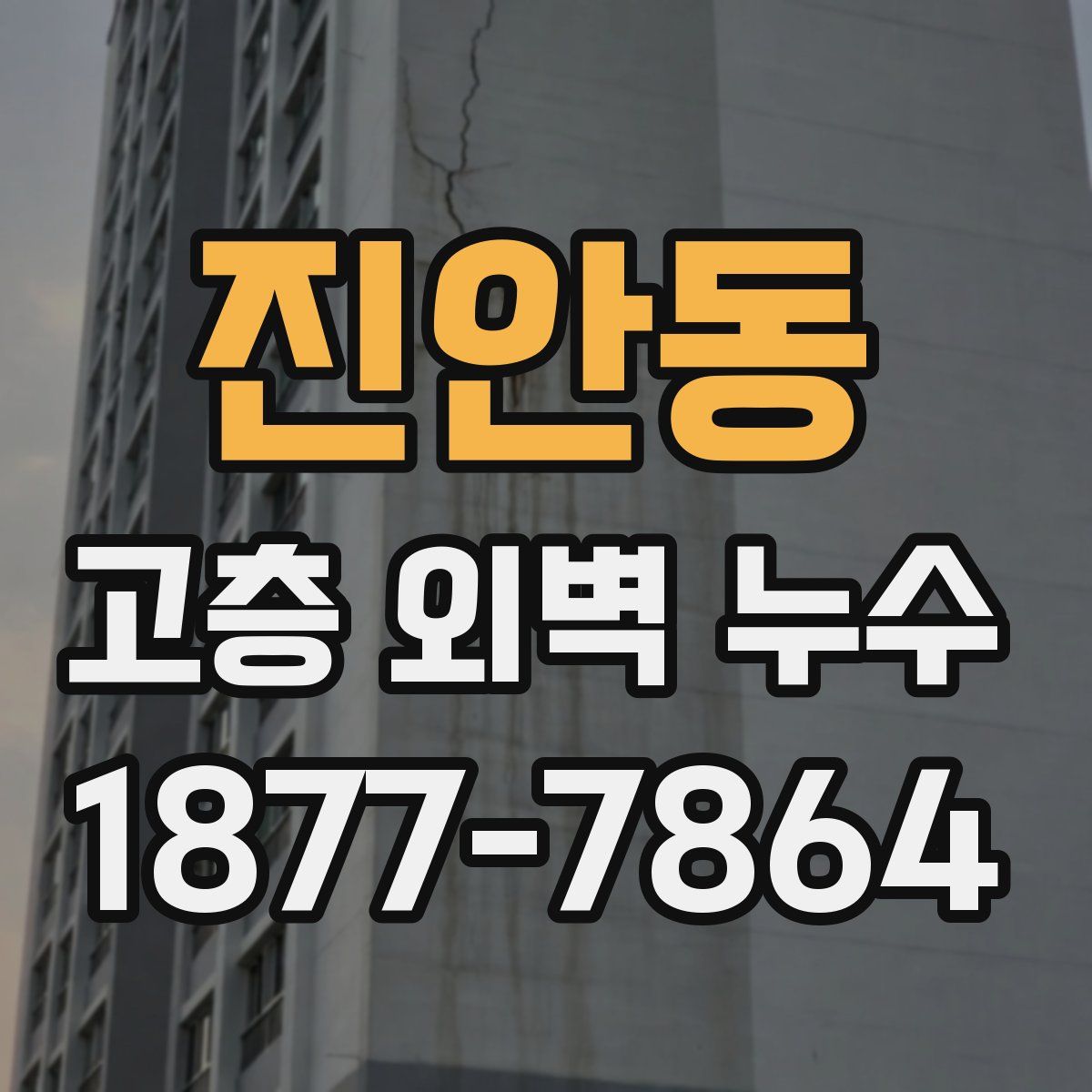 진안동 고층 외벽 누수