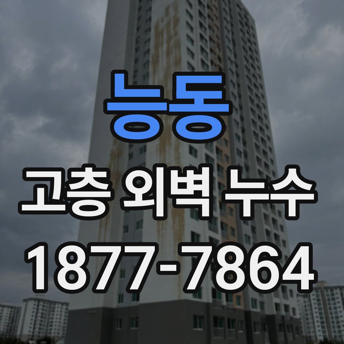 능동 고층 외벽 누수