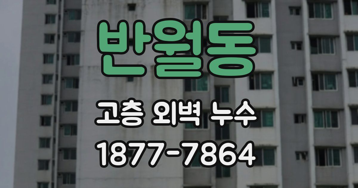 반월동 고층 외벽 누수