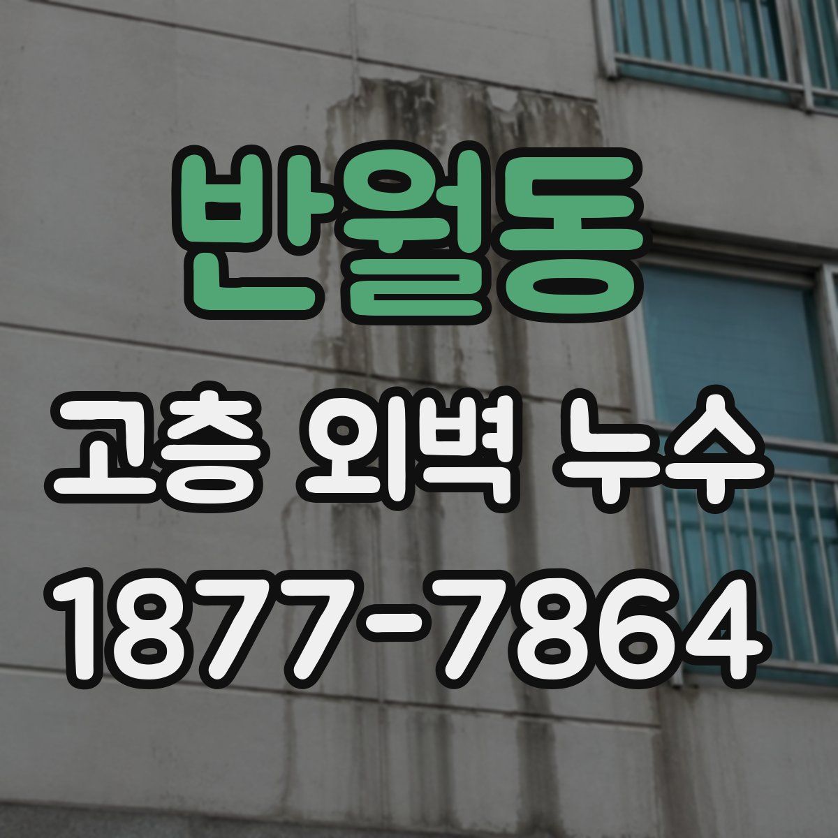 반월동 고층 외벽 누수
