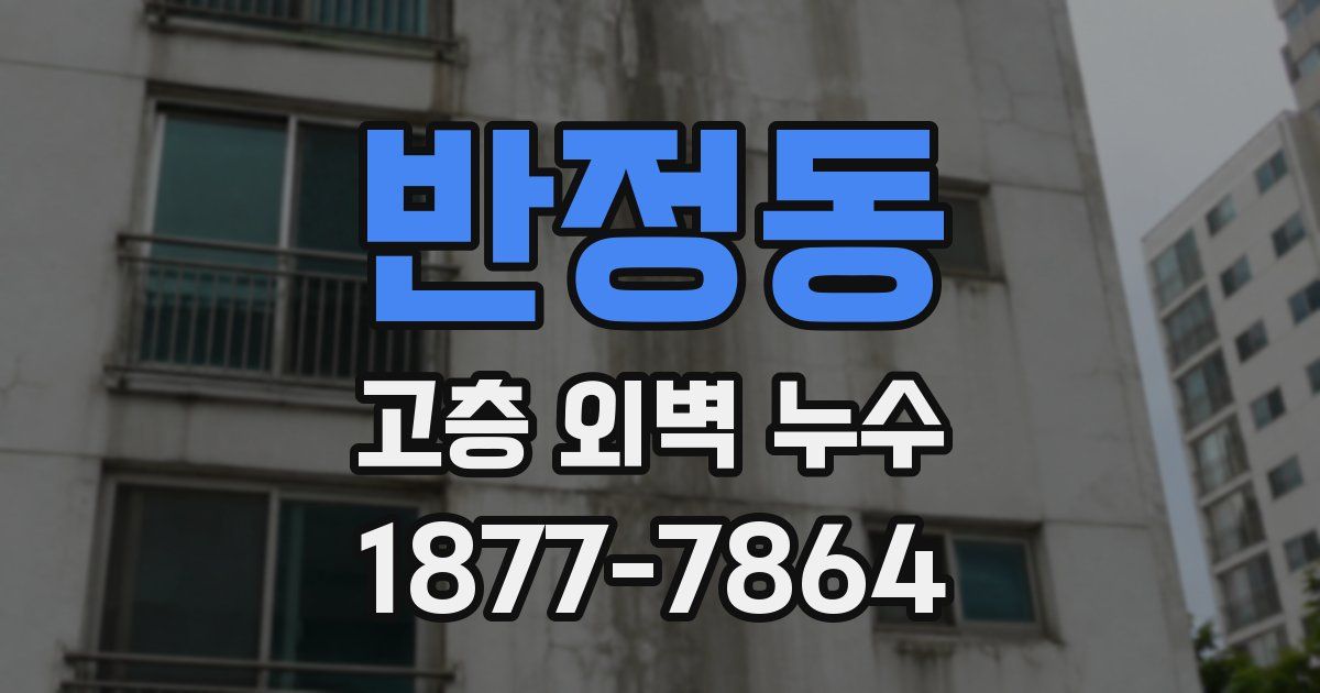 반정동 고층 외벽 누수