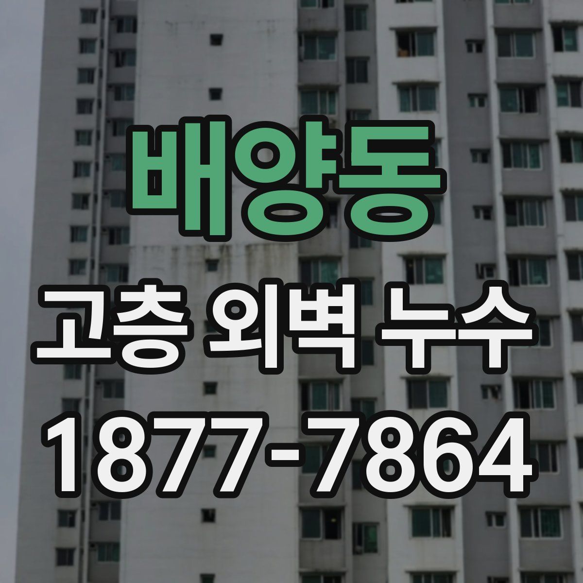 배양동 고층 외벽 누수
