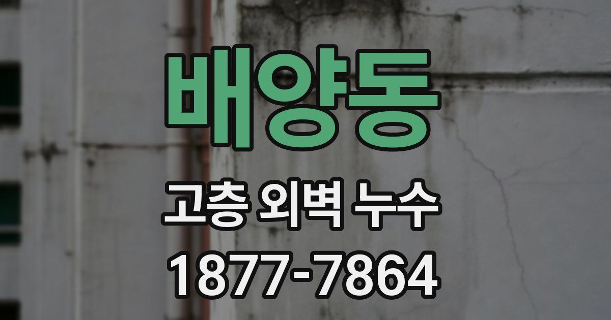 배양동 고층 외벽 누수