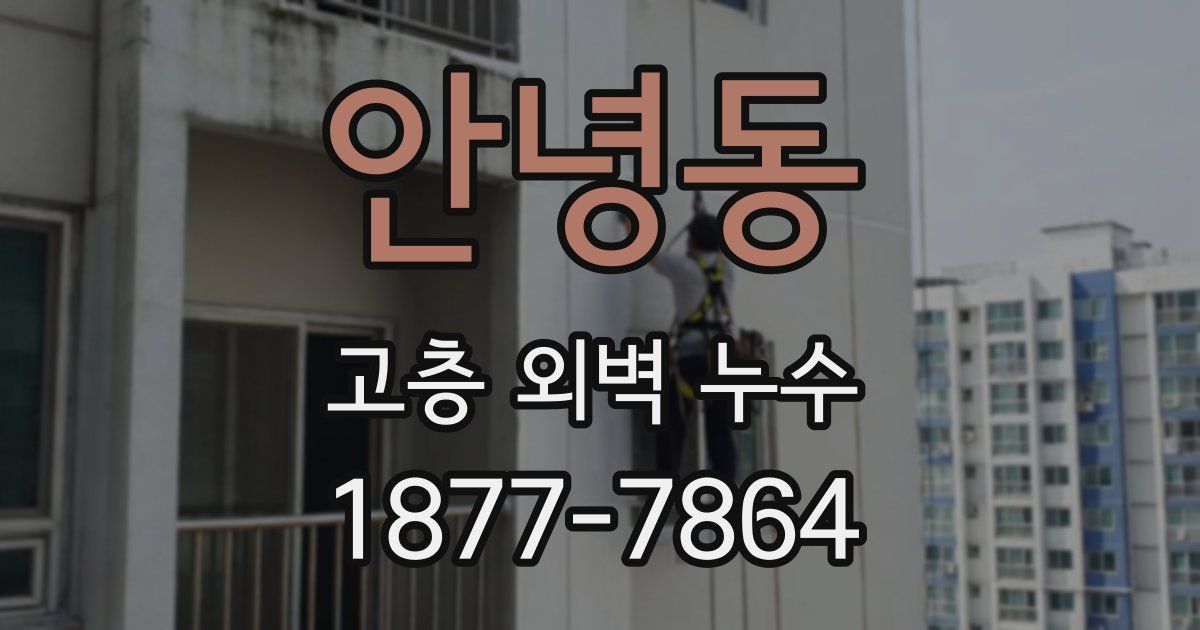 안녕동 고층 외벽 누수