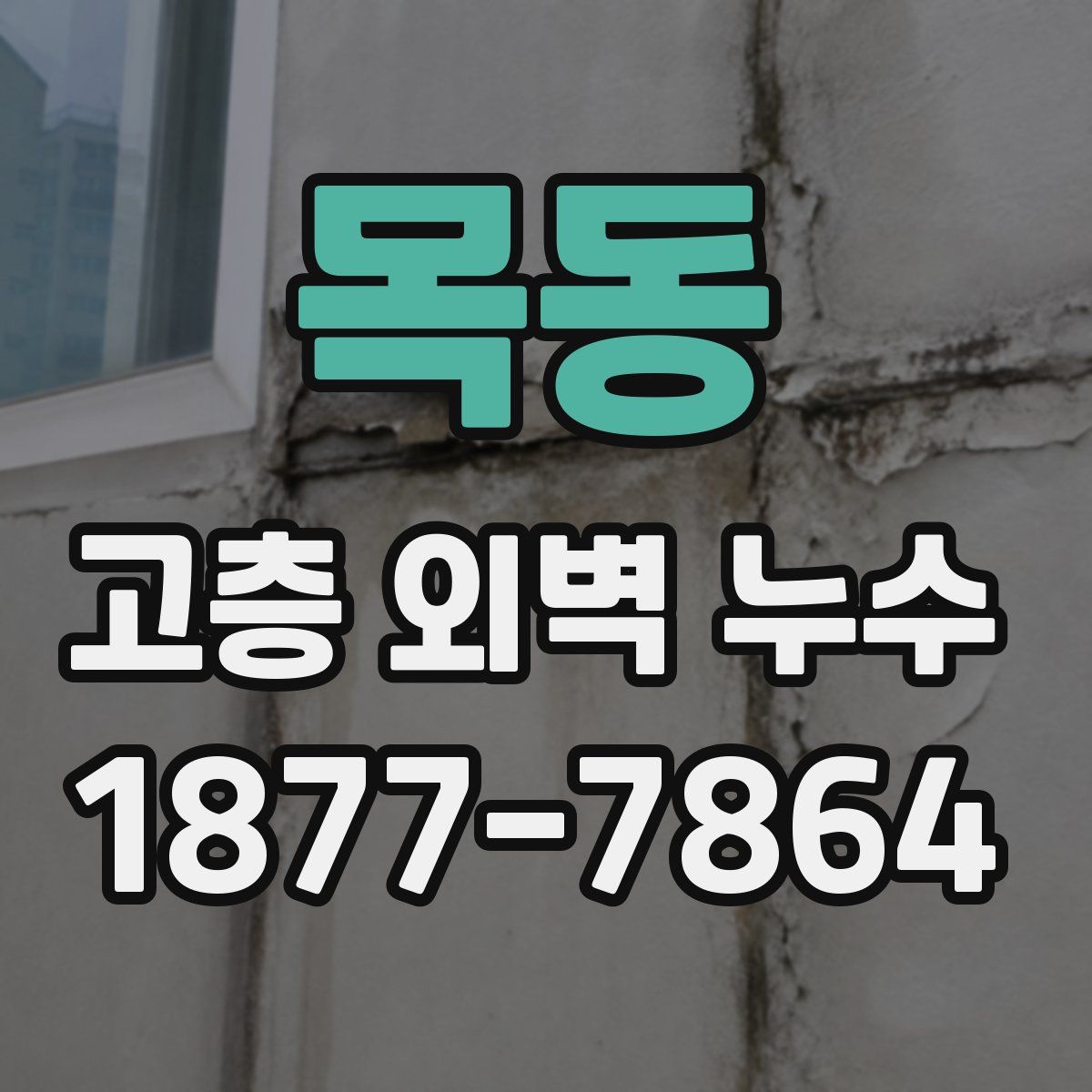 목동 고층 외벽 누수