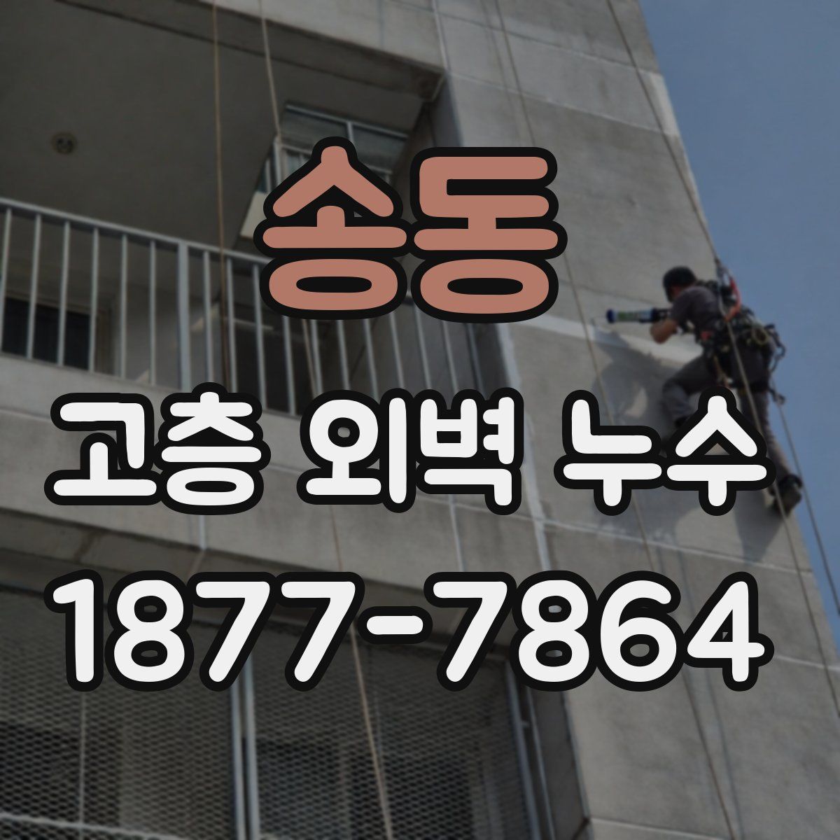 송동 고층 외벽 누수