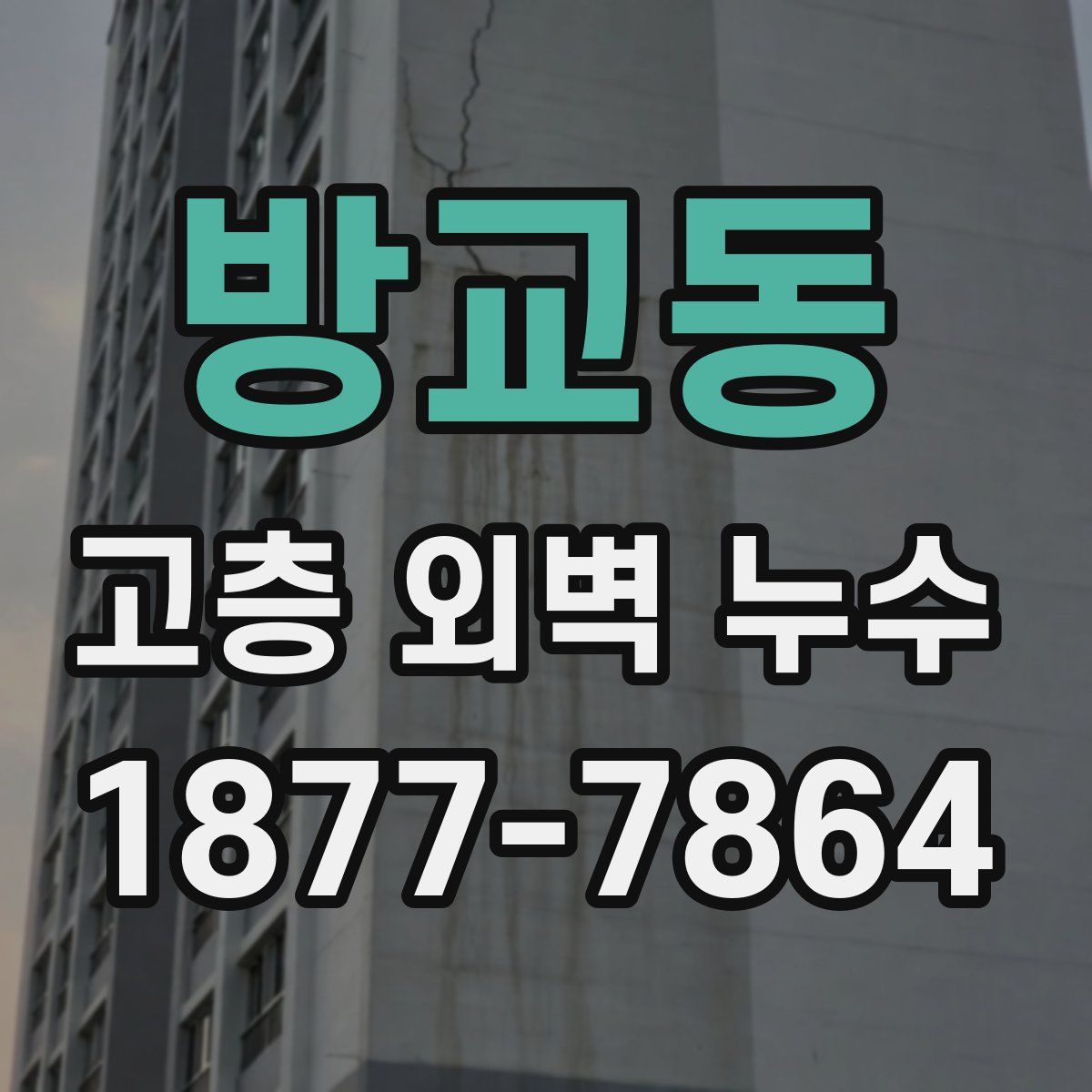 방교동 고층 외벽 누수