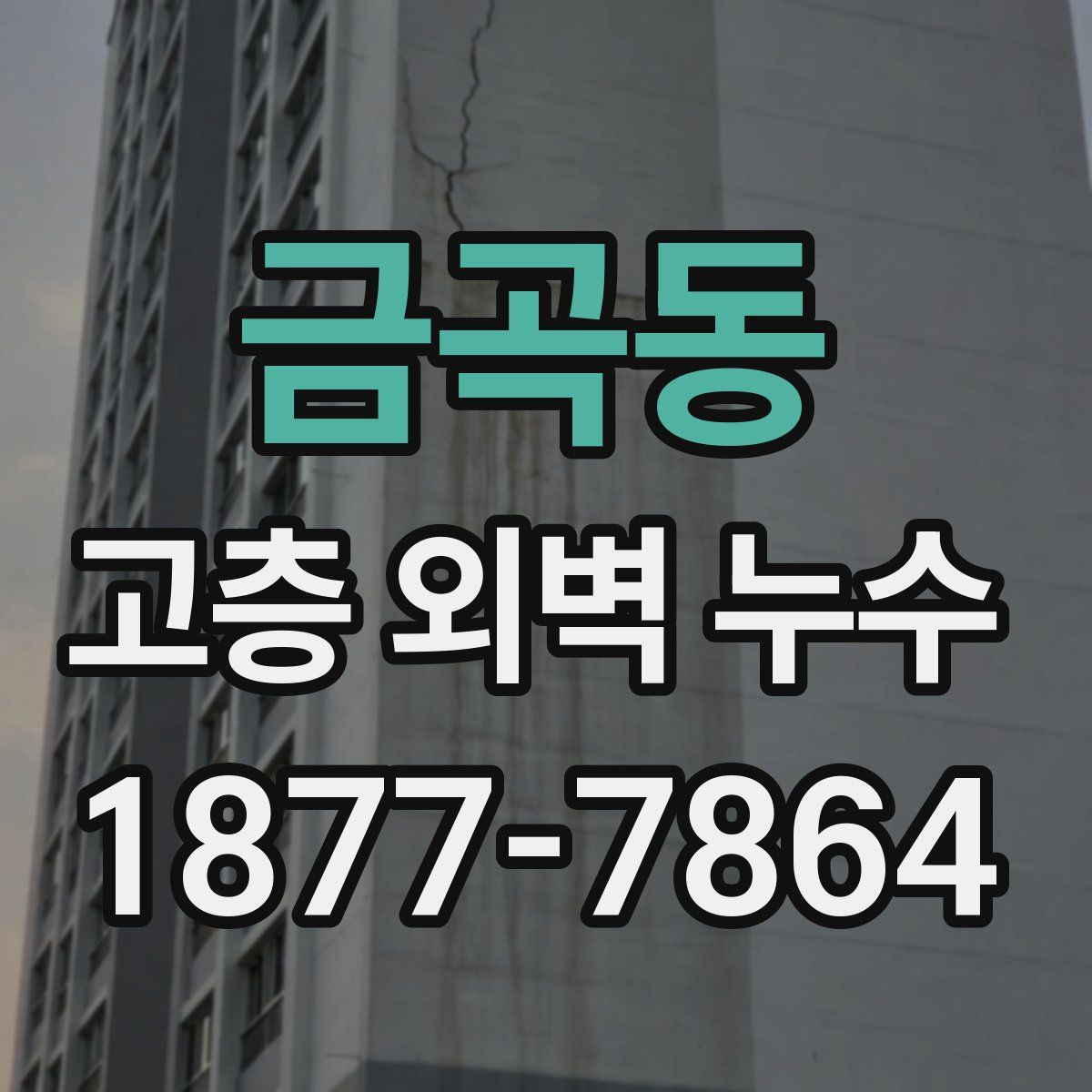 금곡동 고층 외벽 누수