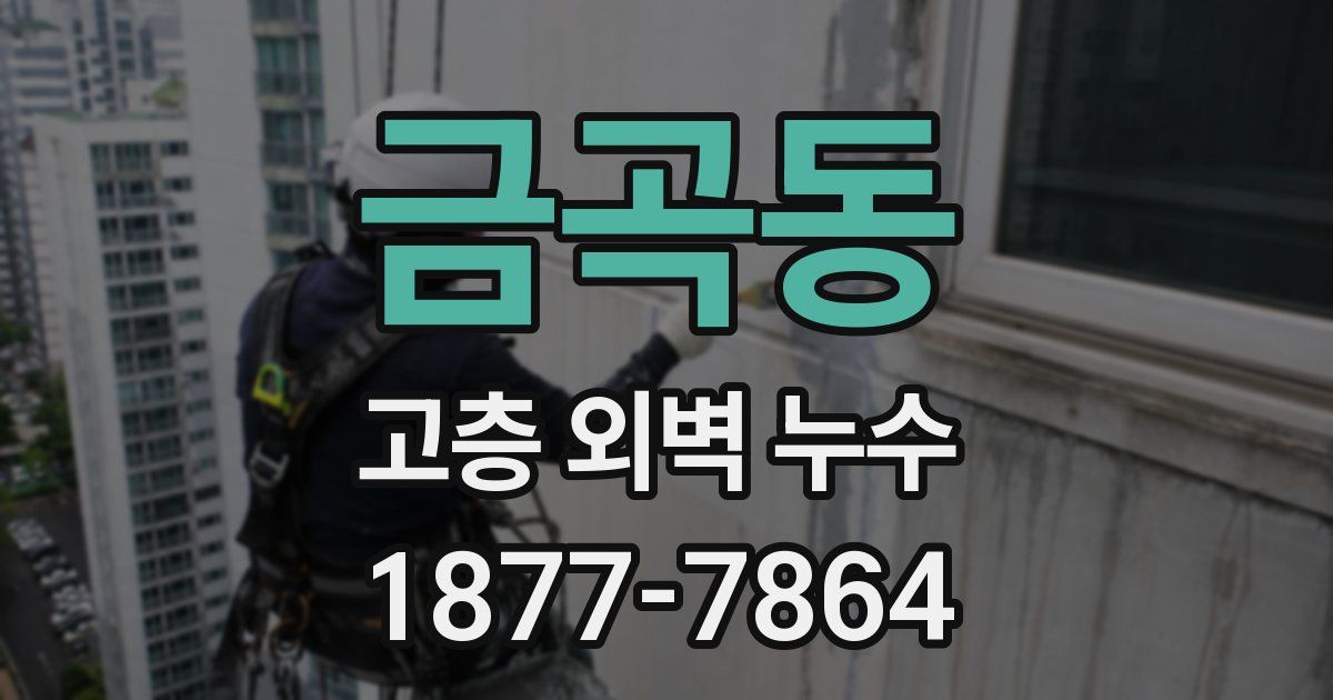 금곡동 고층 외벽 누수