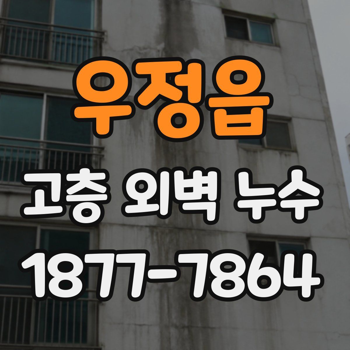 우정읍 고층 외벽 누수